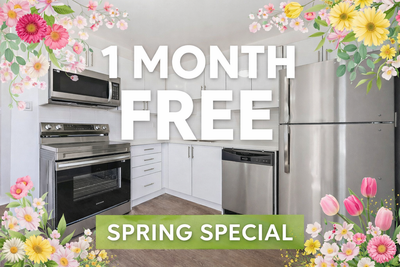 Current Promotions ***SPRING SPECIAL***: 1 MONTH FREE ***LIMITED TIME OFFER***: 1 MONTH FREE PROMOTI...
