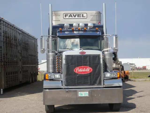 Owner Operator - Livestock Division in Drivers & Security in Moose Jaw - Image 10