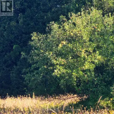 135 Acres of Tranquil Countryside. Discover the perfect blend of privacy, space, and natural beauty...