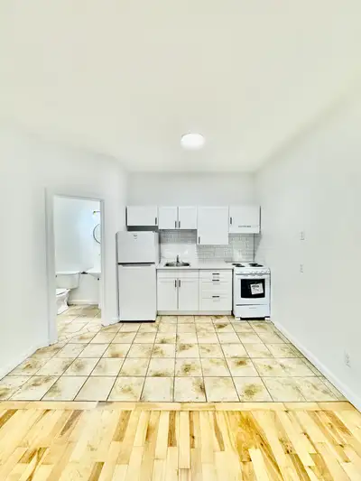 studio-studio rosemont-studio à louer-studio for rent-available now-disponible maintenant-rosemont-é...