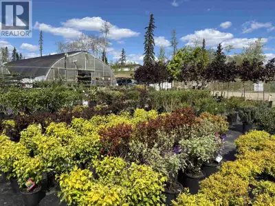 ESTABLISHED GREENHOUSE BUSINESS FOR SALE! Looking for a fresh business opportunity or a change of pa...