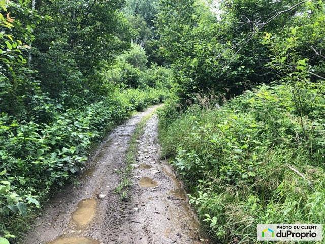 $179,500 - Wood Lot for sale in Port-Daniel — photo 1