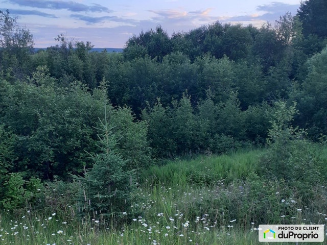 $500,000 - Residential Lot for sale in St-Felicien — photo 3