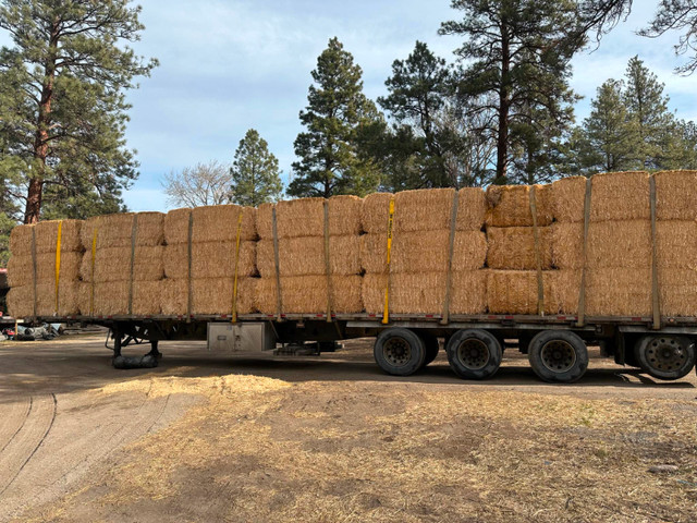 Wheat Straw - Large Bales in Livestock in Penticton
