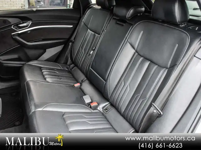 2019 Audi e-tron Technik5570167698895872014