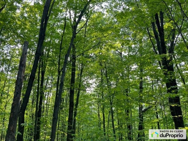 $177,000 - Residential Lot for sale in Shefford — photo 3