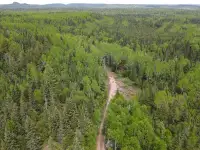 Loon Lake area land for sale