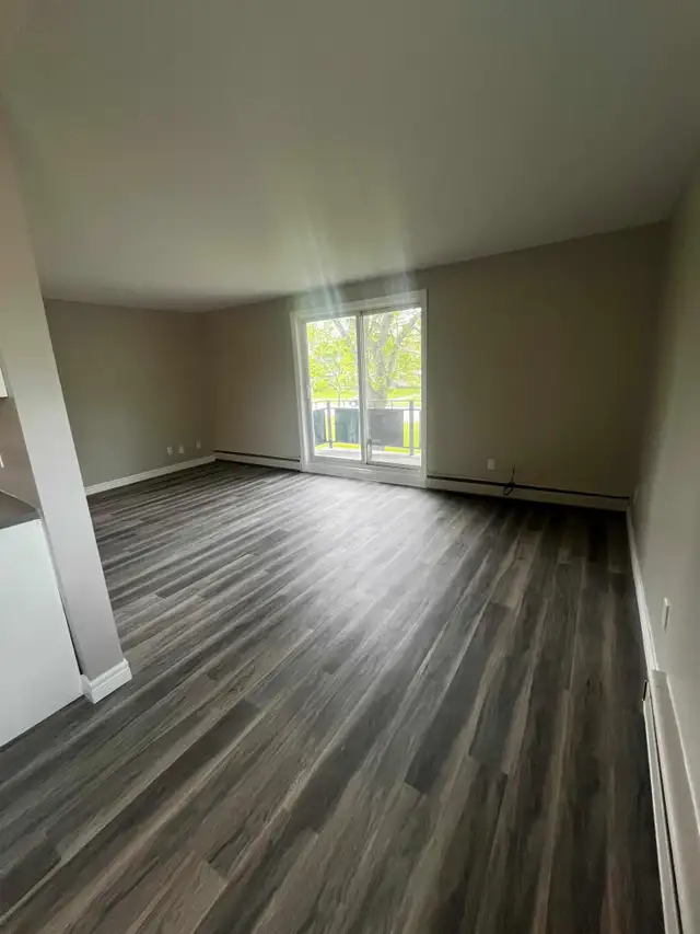 1 Month Free | Renovated 2-Bedroom | In-Suite Laundry | Balcony in Long Term Rentals in Sarnia - Image 5
