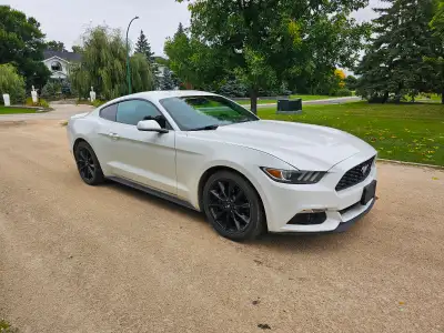 2017 Ford Mustang Coupe – 56,500 KM – Ecoboost Turbo – 6 Speed Manual Transmission Sporty, fun, and...
