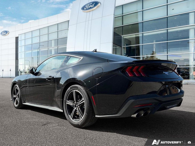 2025 Ford Mustang EcoBoost Premium 2.3L | Paint Protection Film  in Cars & Trucks in Winnipeg - Image 4