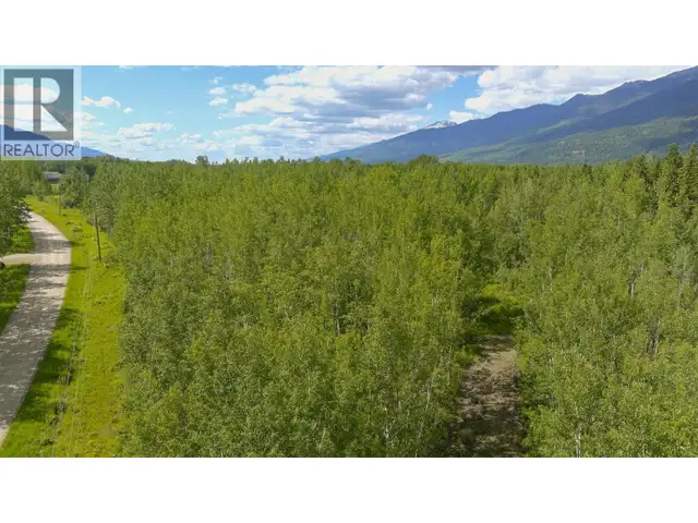 DL 5314 HORSESHOE LAKE ROAD McBride, British Columbia in Land for Sale in Quesnel - Image 12