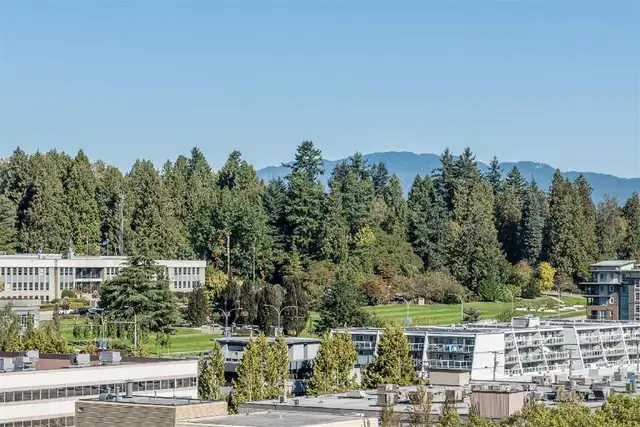1 Bedroom Den Apartment for Rent - 737 Carnarvon Street in Long Term Rentals in Burnaby/New Westminster - Image 7