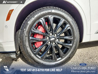 Thanks for viewing our Cam Clark Ford Inventory! HEATED REAR SEATS | MOONROOF | REMOTE START | LEATH... (image 6)