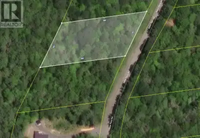 Whether you are ready to build on this fully treed greenspace or have it as a holding property for t...