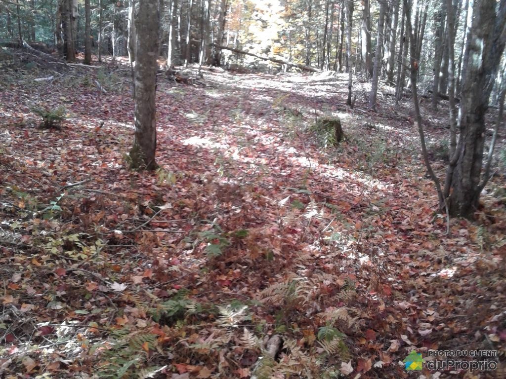 $492,265 - Residential Lot for sale in Ste-Adele — photo 1
