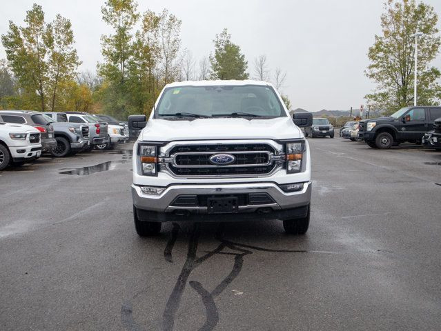 2023 Ford F-150 XLT - Remote Engine Start, Cooled Front Seat(s) in Cars & Trucks in Belleville - Image 3