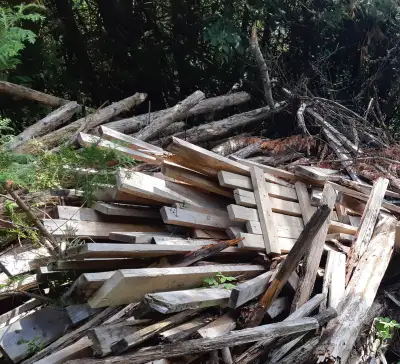 Free lumber.., View more