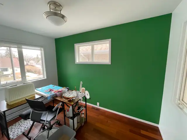 Professional & Reliable Painter598688517147207681
