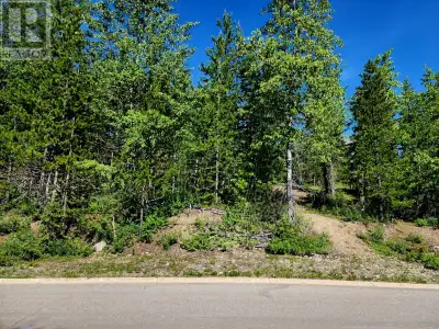Build your dream home on this amazing .284 of an acre lot located in the quiet and newly developing...
