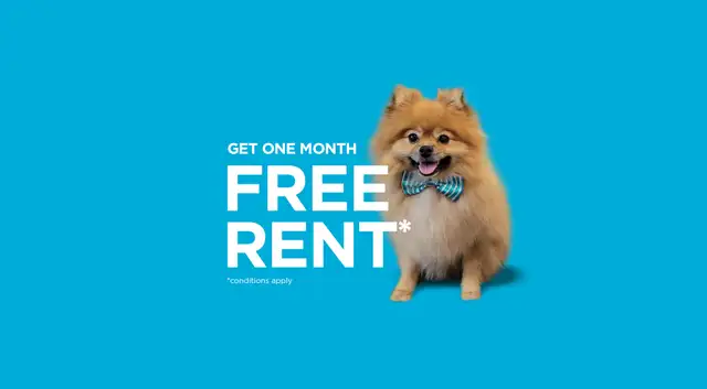 Pet-Friendly Two Bedroom Two Bath with In-suite Laundry for Rent