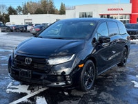 Certified. Black Edition|Leather|Navi|DVD|CarPlay 2024 Honda Odyssey Black Edition Black Edition|Lea... (image 2)