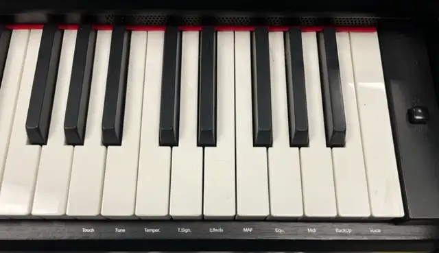 Galileo Viscount VP 111 Electric/Digital Piano - 88 key in Pianos & Keyboards in Oakville / Halton Region - Image 8