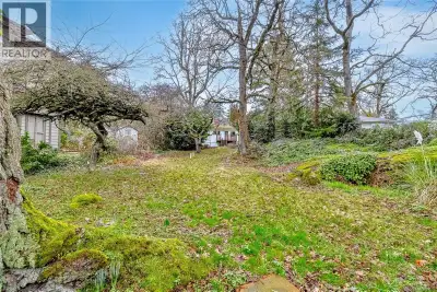 Invest or build your custom home on this beautiful lot with potential water views in Strawberry Vale...