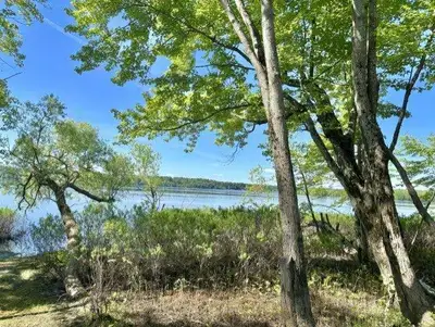 Waterfront lot in Pontiac in flood zone (River), Quyon sector, with over 24,000 square feet. Located...