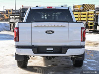BlueCruise, Sunroof, Power Running Boards, HUD, B&O Audio! This vehicle is located at Koch Ford Edmo... (image 5)