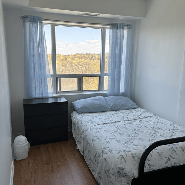 Private Room in Sidney Belsey Crescent, North York in Room Rentals & Roommates in City of Toronto - Image 2