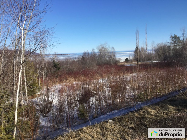 133 000$ - Terrain résidentiel à vendre à Nouvelle dans Terrains à vendre  à Gaspésie