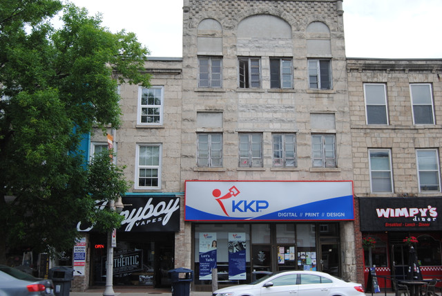 Must-See Remodeled 1 Bedroom in Downtown! in Long Term Rentals in Guelph