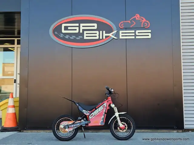OSET 16.0R Electric Off Road in Street, Cruisers & Choppers in Oshawa / Durham Region - Image 3