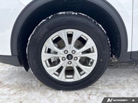 PREVIOUS DAILY RENTAL The 2024 Ford Escape Active is the versatile daily driver designed for the way... (image 8)