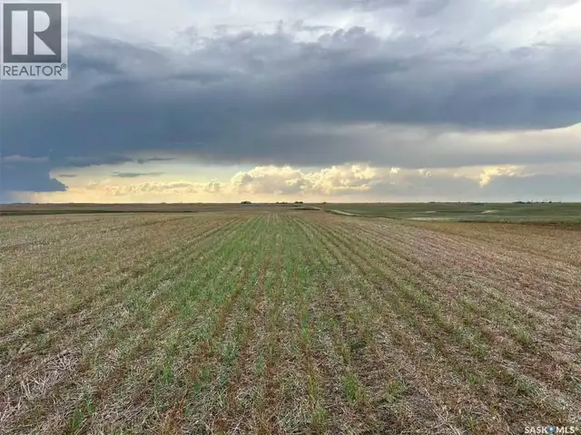 961 Acres Farmland in RM Morris Morris Rm No. 312, Saskatchewan in Land for Sale in Saskatoon - Image 17