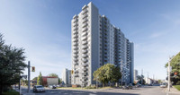 Wellington Place - Bachelor Apartment for Rent
