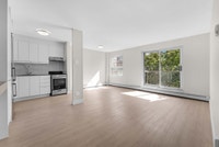 Renovated Akelius one bedroom apartment for rent. Located near York St in the ByWard Market neighbor... (image 3)