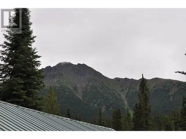 DL 6349 CASSIAR ROAD Cassiar, British Columbia in Houses for Sale in Smithers - Image 12