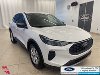 Low Mileage, Apple CarPlay, Android Auto, Power Liftgate, Blind Spot Detection, Lane Keep Assist! As... (image 2)