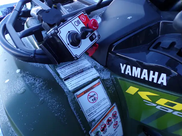 YAMAHA KODIAK 700 EPS WITH BERCOMAC SNOWBLOWER in Other in Ottawa - Image 9