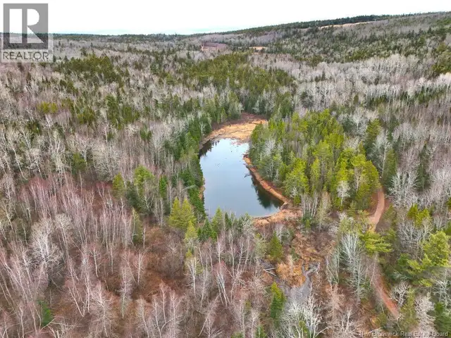 Lot Shaw Road Shenstone, New Brunswick in Land for Sale in Moncton - Image 7