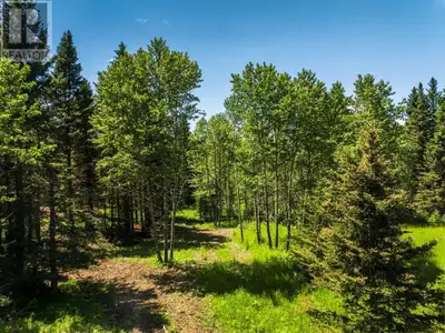 Discover the limitless potential of this breathtaking 74.9-acre property in the charming community o...