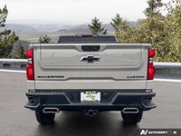 4WD Crew Cab 147 Custom Trail Boss ... Engine: Gas V8 5.3L/325 Safety Equipment Daytime Running Lamp... (image 3)