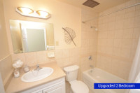 STUDENT-FRIENDLY 3 BEDROOM 1.5 BATHROOM APARTMENT FOR RENT IN LONDON! STEPS TO THE UNIVERSITY OF WES... (image 6)