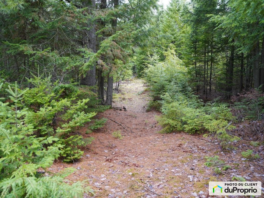 $139,100 - Residential Lot for sale in St-Boniface — photo 1
