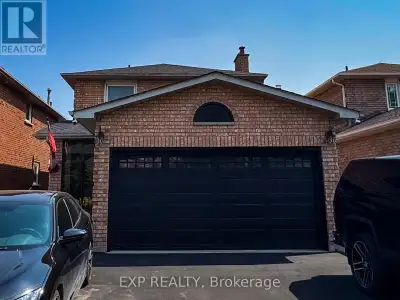 BASEMENT - 117 CINRICKBAR DRIVE Toronto (West Humber-Clairville)