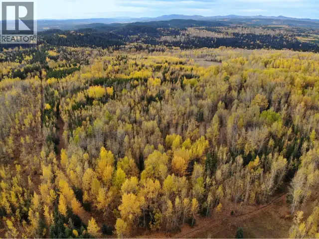 DL5277 DAY ROAD Horsefly, British Columbia in Land for Sale in Williams Lake - Image 11