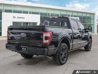 * POWER RUNNING BOARDS * FORD CO-PILOT 360 ASSIST 2.0 * TWIN PANEL MOONROOF * TRAILER TOW PACKAGE *... (image 4)