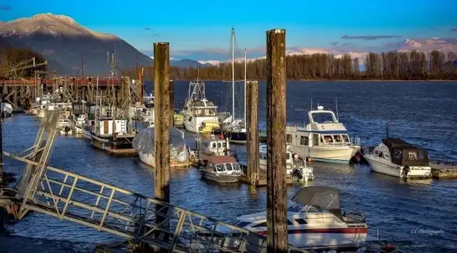 7330 HORNE STREET Mission, British Columbia in Land for Sale in Mission - Image 9