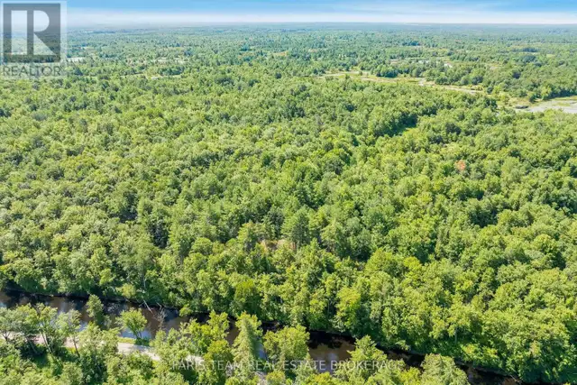 PART LOT 28 CONCESSION 12 BLACK RIVER ROAD Kawartha Lakes (Dalto in Land for Sale in Barrie - Image 4